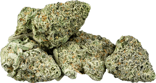 Animal Gas