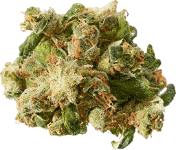 Casey Jones