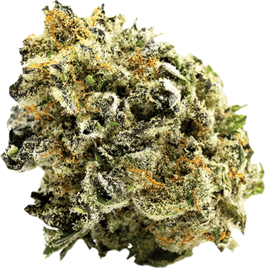 Grape Punch