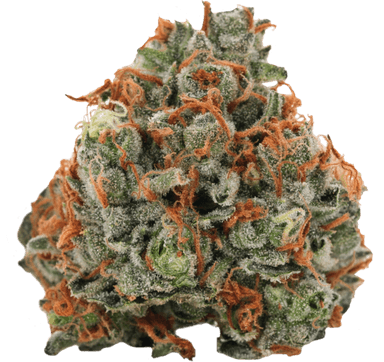 Casey Jones